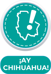 ay_chihuahua